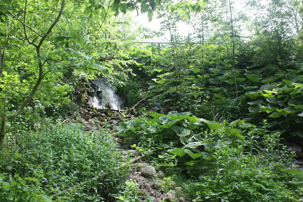 Tribohmer Wasserfall