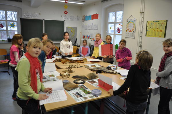 Viertklässler der Recknitz Grundschule Ahrenshagen beim Bestimmten von zehn Waldtierarten