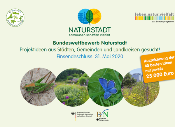 Titel Brosch&uuml;re_Bundeswettbewerb Naturstadt