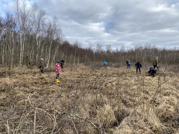 Ehrenamtliche Natursch&uuml;tzer beim Pflegeeinsatz im Moor bei Carlewitz 