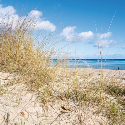D&uuml;ne und Strand