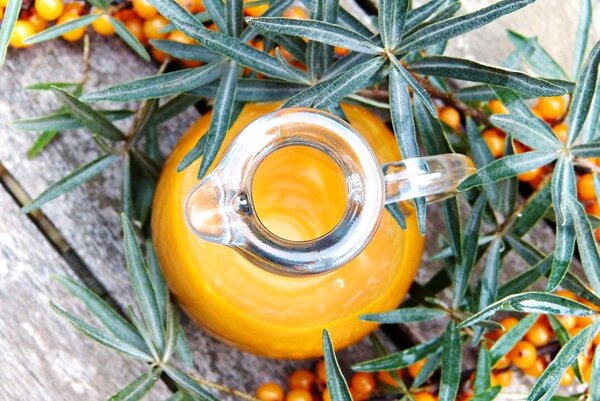 silviarita-sea-buckthorn-2798599_1280_pixabay_2