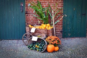 bernswaelz-pumpkin-1642372_640_pixabay_2