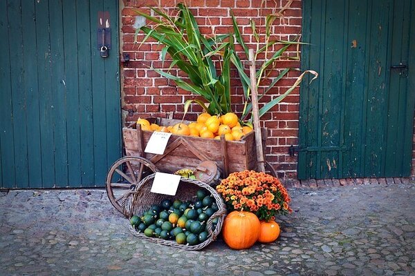 bernswaelz-pumpkin-1642372_640_pixabay_2