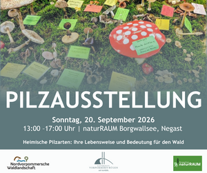 Pilzausstellung in Negast am 20. September 2026